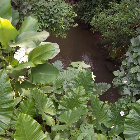 Origami House, Paradise In Ubud!-2